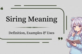 Siring meaning definition and examples